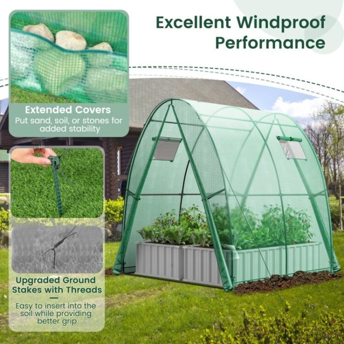Outdoor Wall-in Tunnel Greenhouse - Image 2