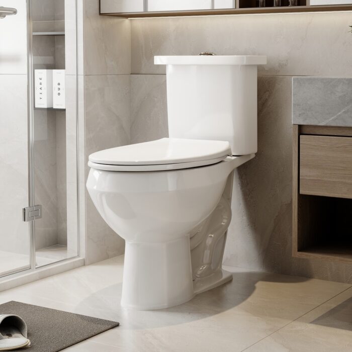 Dual-Flush Round Two-Piece Toilet (Seat Included)