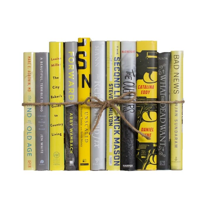Books Yellow Decorative Accessories: City Days Dust Jacket ColorPak