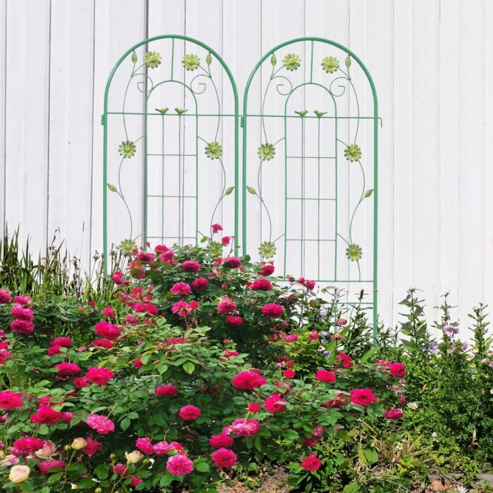 2 Pack Metal Garden Trellis 71" x 19.7" Rustproof Trellis for Climbing Plants Outdoor Flower Support - Image 2