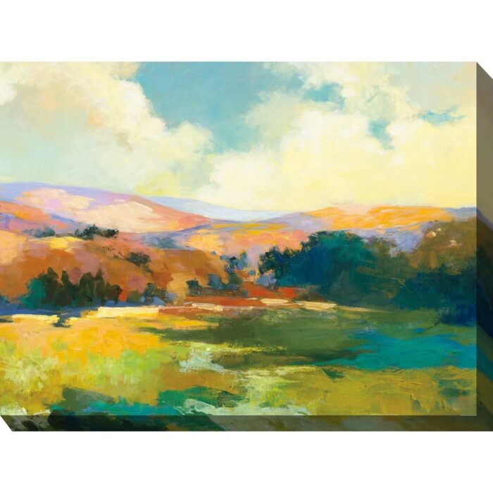 Valley of Light Indoor/Outdoor Art 40"x30"