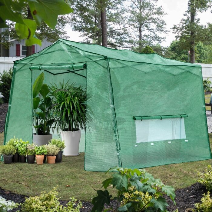 Cozywor Outdoor Green Pop-up Walk-in Greenhouse