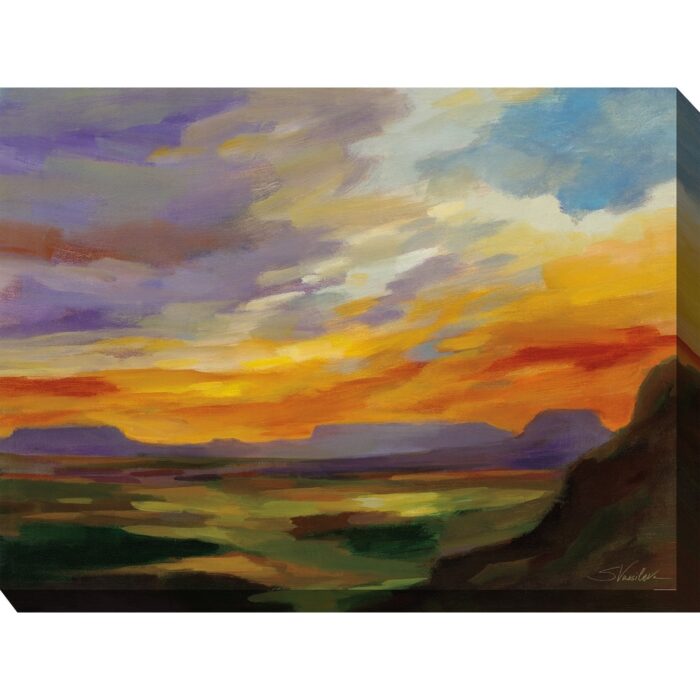 Sonoran Sunset Outdoor Art 40x30