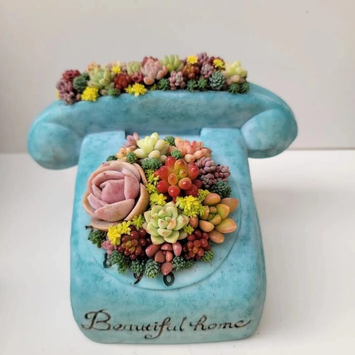 2''–3'' Multi-Color Succulent Plants in Blue Phone Shaped Flowerpot - Multicolor - 3.6''×6''