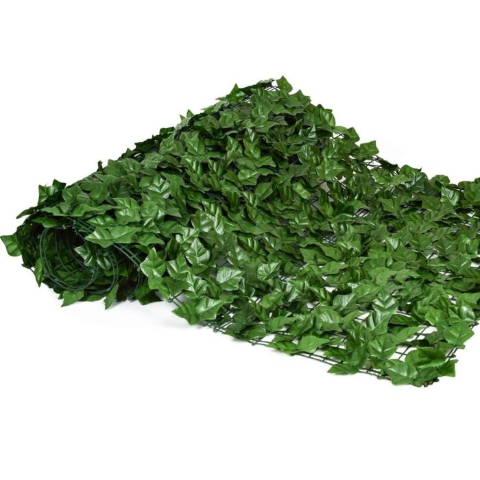 Ivy privacy fence - Image 2