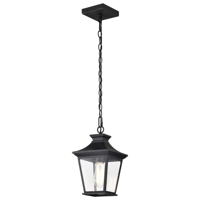 Jasper Outdoor Hanging Light Black Matte Finish Clear Glass