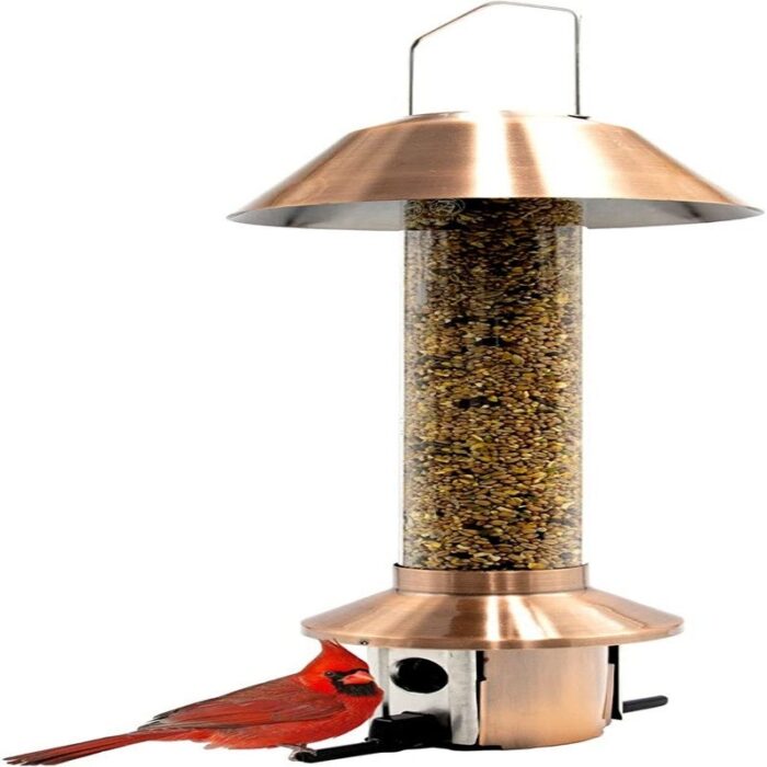Wild Bird Feeder Mixed Seed Sunflower Heart Version
