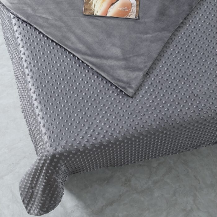 Naliah Weighted Blanket with Dot Velvet Cover
