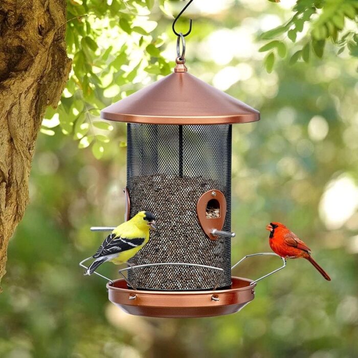 Wild Bird Feeders for Outdoors Hanging Squirrel Proof