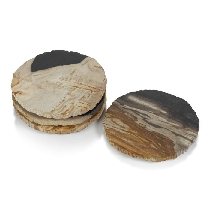 Plover 4" Petrified Wood Coasters, Set of 4 - 4" diameter