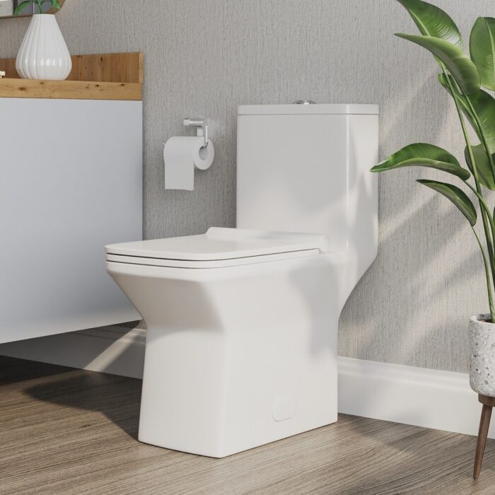 DeerValley Ace Elongated Dual-Flush One-Piece Toilet (Seat Included)