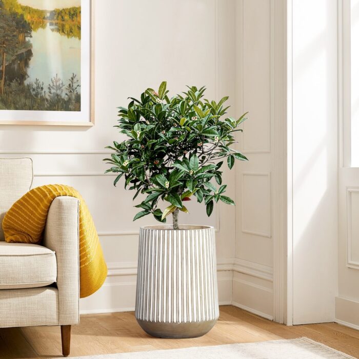 Round Brown and White Striped Indoor/Outdoor MgO Planter
