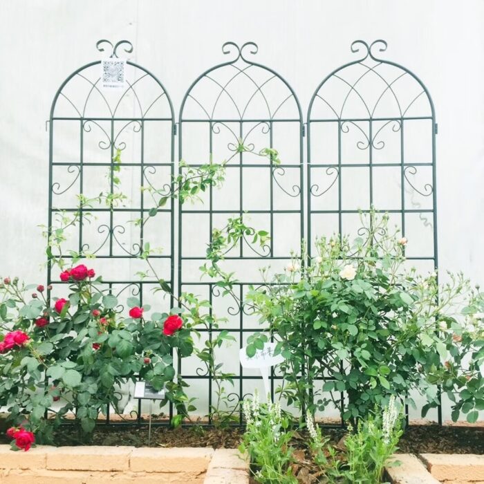 2 Pack Metal Garden Trellis 71" x 19.7" Rustproof Trellis for Climbing Plants Outdoor Flower Support Black - Image 2
