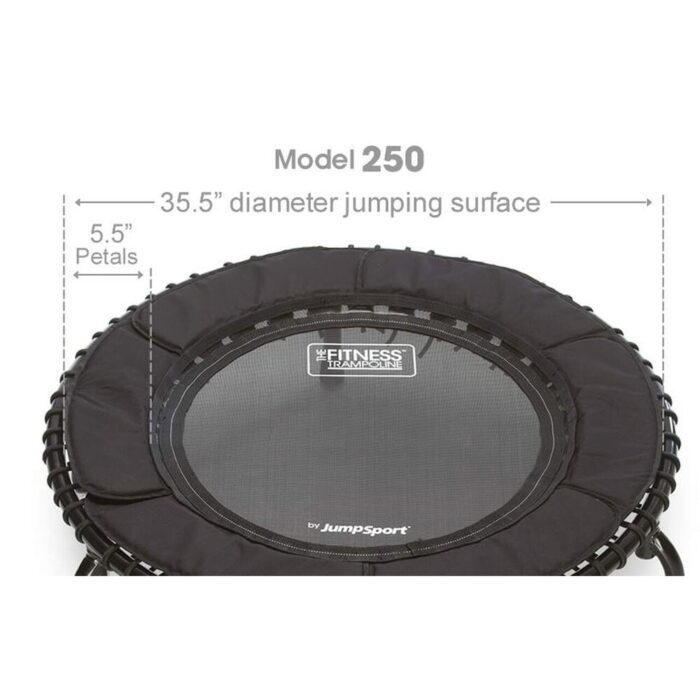 JumpSport 250 Fitness Rebounder Mini Trampoline for In Home Cardio Fitness - 21 - Image 2