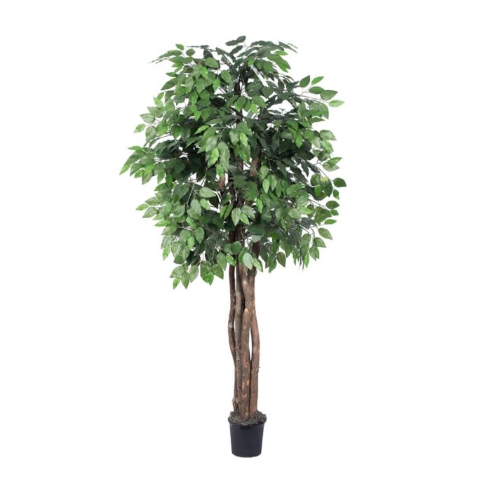 Vickerman 6' Artificial Ficus Executive, Black Plastic Pot