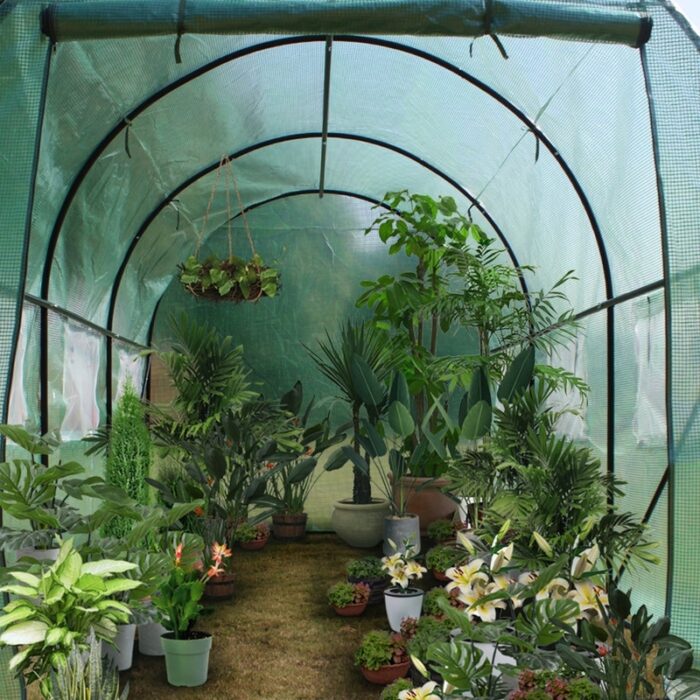 12′ x 7′ x 7 Heavy Duty Dome Greenhouse - 12' x 7' x 7' (L x W x H) - Image 2