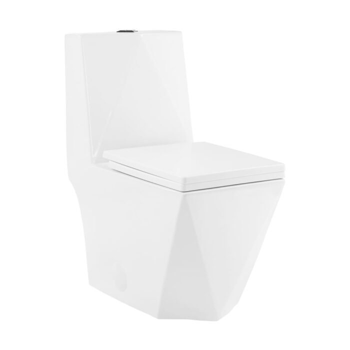 Sion One-Piece Square Toilet Dual-Flush 1.1/1.6 Gpf - 27.75" x 14.95" 31.7"
