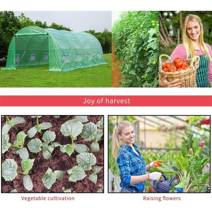 20' x 10' x 7' Greenhouse Large Gardening Plant Hot House - 10 X 20 - Image 2