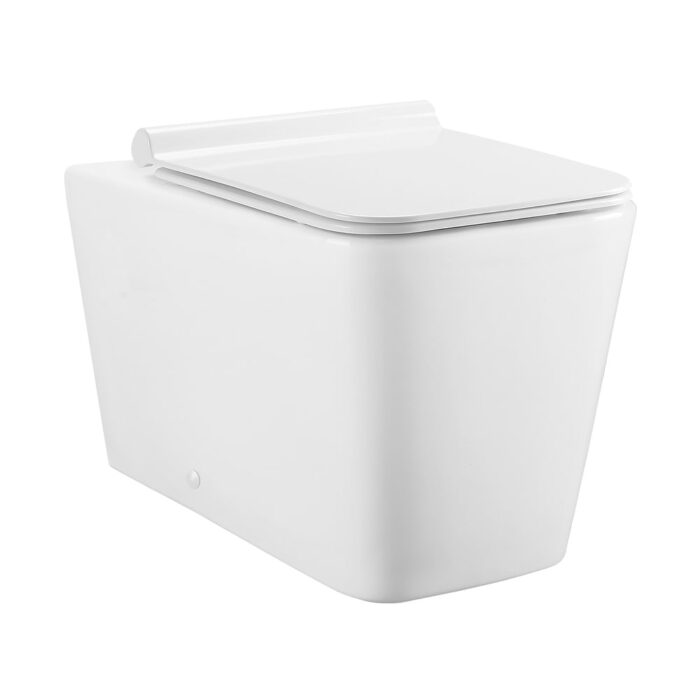 Concorde Back to Wall Concealed Tank Toilet Bowl - Image 2