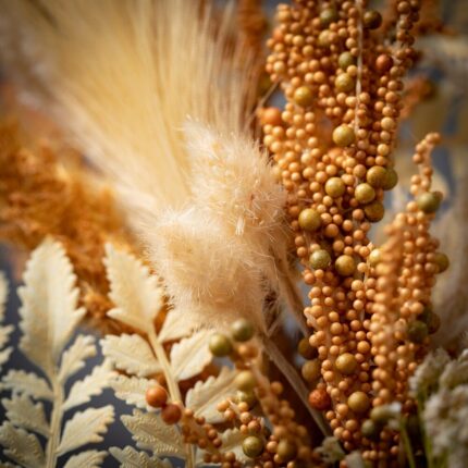 24"H Sullivans Dried Pampas Wreath For Front Door, Brown - 24"L x 4.5"W x 24"H - Image 2