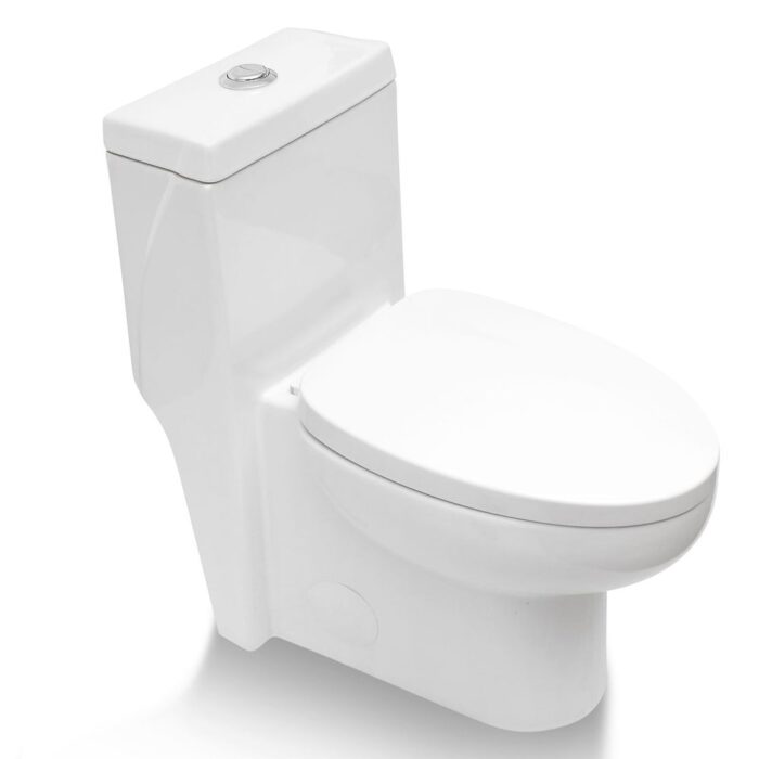 Kichae Dual-Flush Elongated One-piece Toilet with Comfort Seat Height