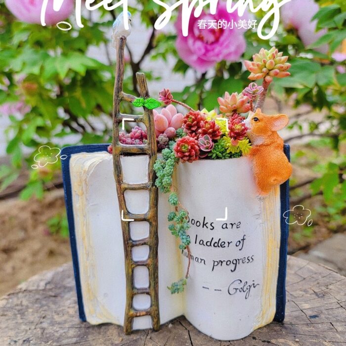 2''–3'' Multi-Color Succulent Plants in Corgi Puppy Book Shaped Flower Pot - Multicolor - 5.5''×2''
