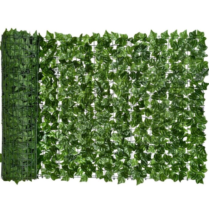 Ivy privacy fence