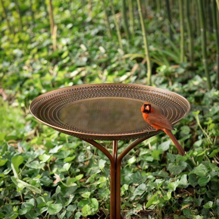 20" Copper Tranquility Birdbath with Collapsible Stand - Image 2