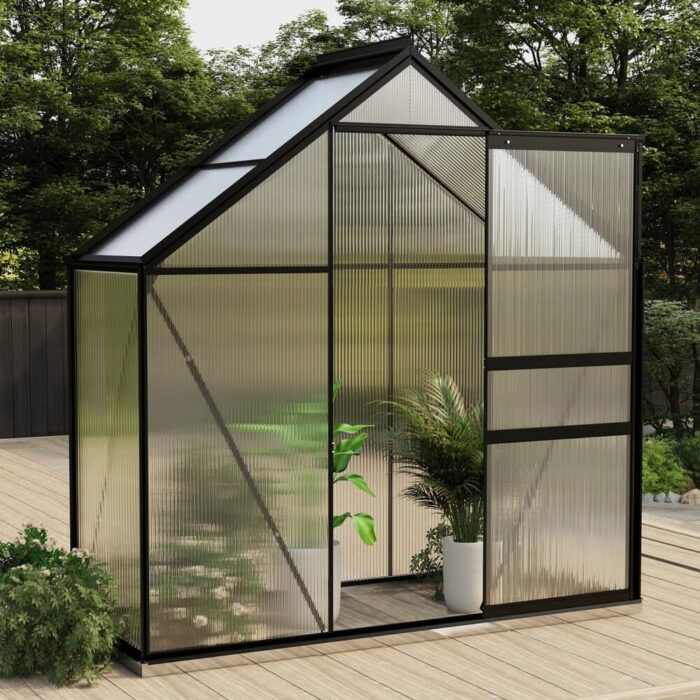 vidaXL Greenhouse Patio Outdoor Grow House with Base Frame Anthracite Aluminum - Anthracite and transparent