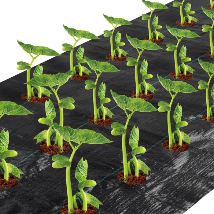Agfabric weed barrier with3",3rows plantinghole,4'x6'