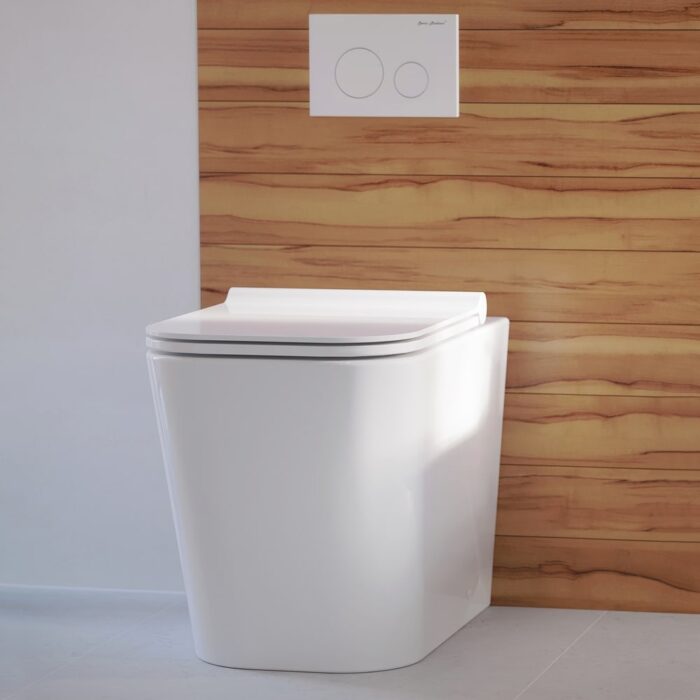Concorde Back to Wall Concealed Tank Toilet Bowl