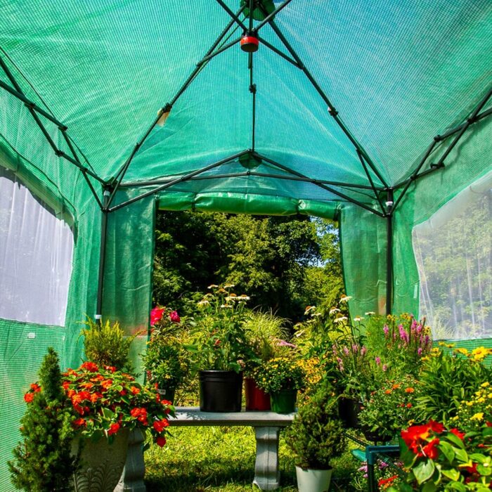 EAGLE PEAK 8x6 Portable Walk-in Greenhouse Pop-up Outdoor Plant Gardening Canopy, Roll-Up Doors and Roll-Up Windows, Green - Image 2