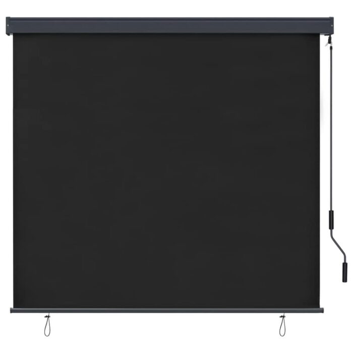 vidaXL Outdoor Roller Blind 63"x98.4" Anthracite - Image 2