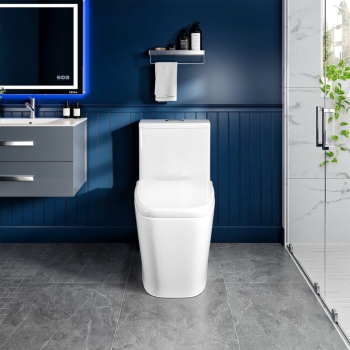 Eviva Acadia One Piece Toilet in White