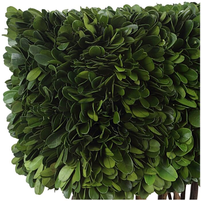 Uttermost 60187 Preserved Boxwood Set of (2) Square Decorative - Green / Black - Image 2