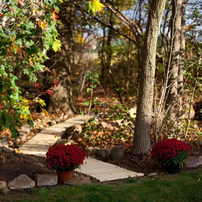 Pressure Treated Pine Roll-Up Walkway - Image 2