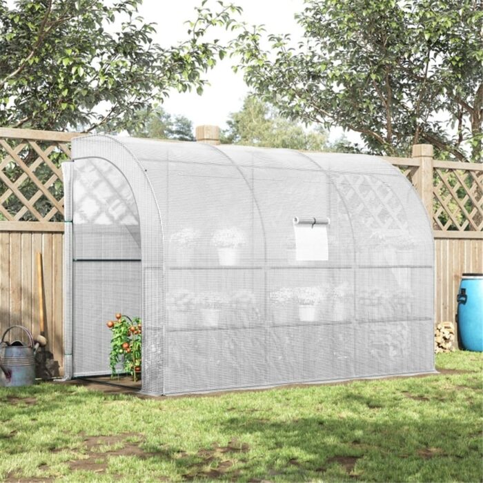 Large Walk-in Greenhouse