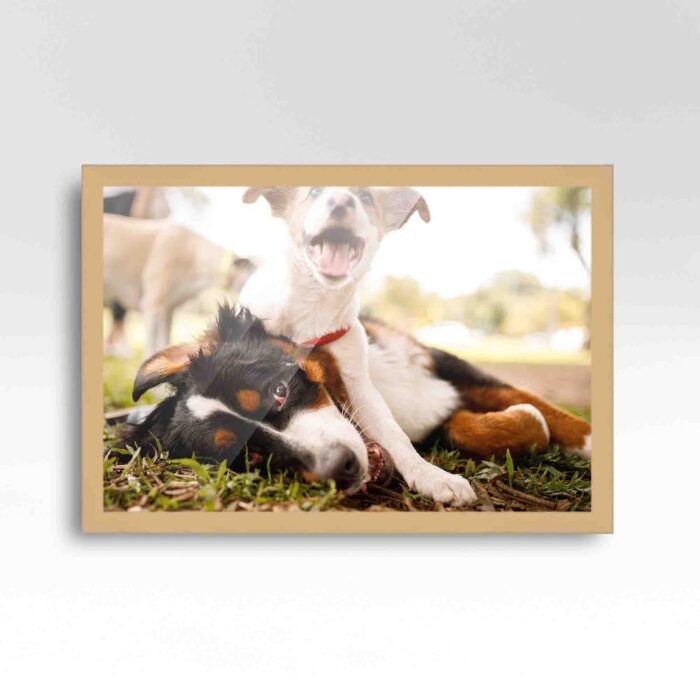 24x32 Brown Picture Frame - Wood Picture Frame Complete with UV
