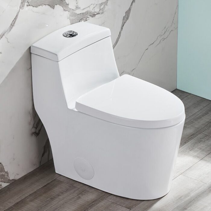 DeerValley Prism Dual-Flush Elongated One-Piece Toilet (Seat Included)