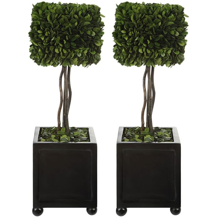 Uttermost 60187 Preserved Boxwood Set of (2) Square Decorative - Green / Black