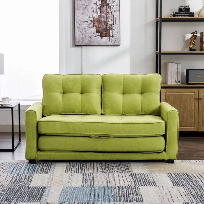 Loveseat Sofa with Pull-Out Bed