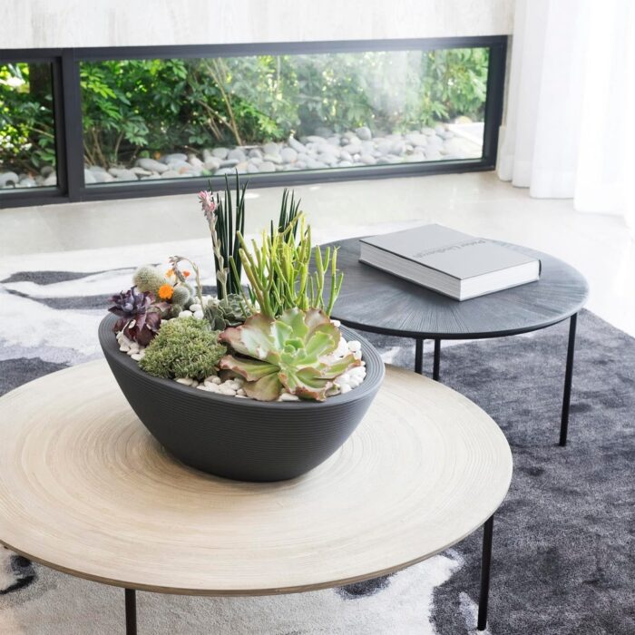 Delano Oval Planter Bowl - Image 2
