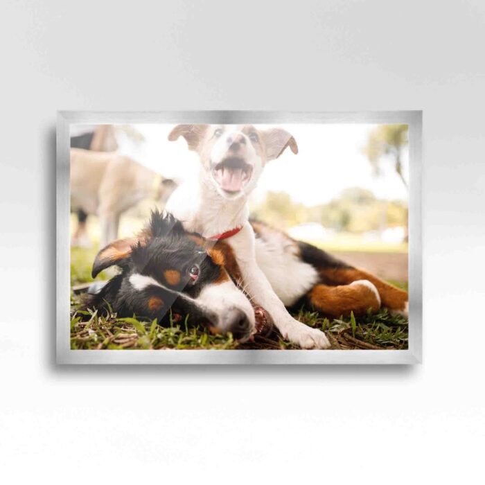 23x29 Silver Picture Frame - Wood Picture Frame Complete with UV