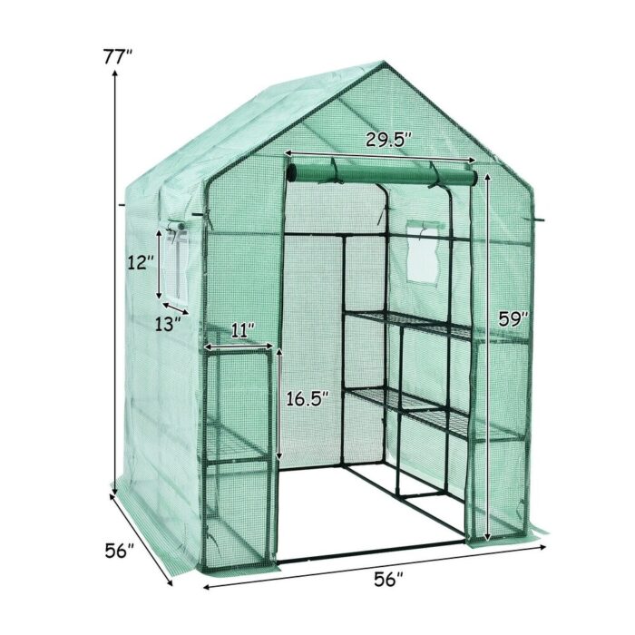Spacious Walk-In Greenhouse for Gardening with Observation Windows - 56'' x 56'' x 77'' (L x W x H) - Image 2