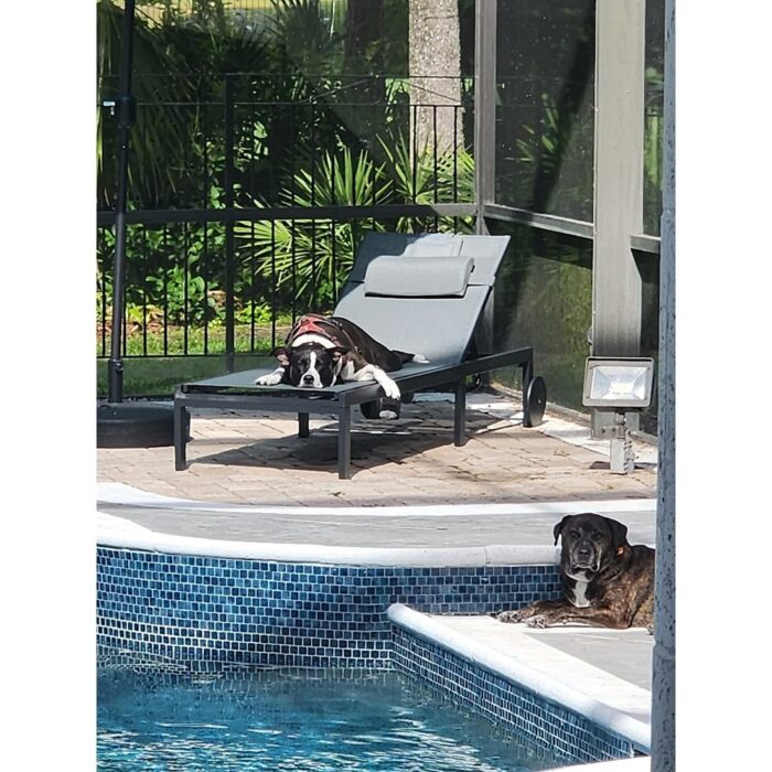 PURPLE LEAF Outdoor Tanning Lounge Chair Set with Face Hole Adjustable Reclining Chairs - N/A - Image 2