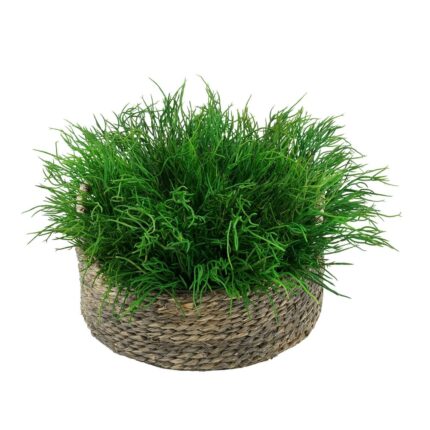 Faux Saltwort in Small Seagrass Tray Basket - Image 2