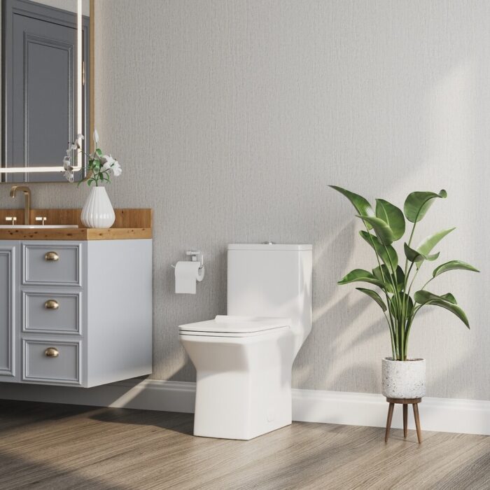 DeerValley Ace Elongated Dual-Flush One-Piece Toilet (Seat Included) - Image 2