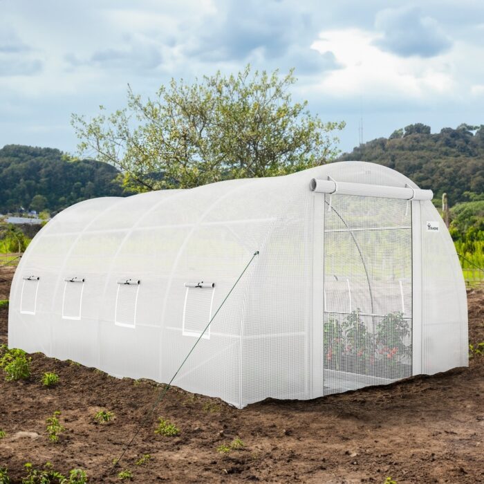 Moasis Greenhouse with Steel Frame, PE Cover
