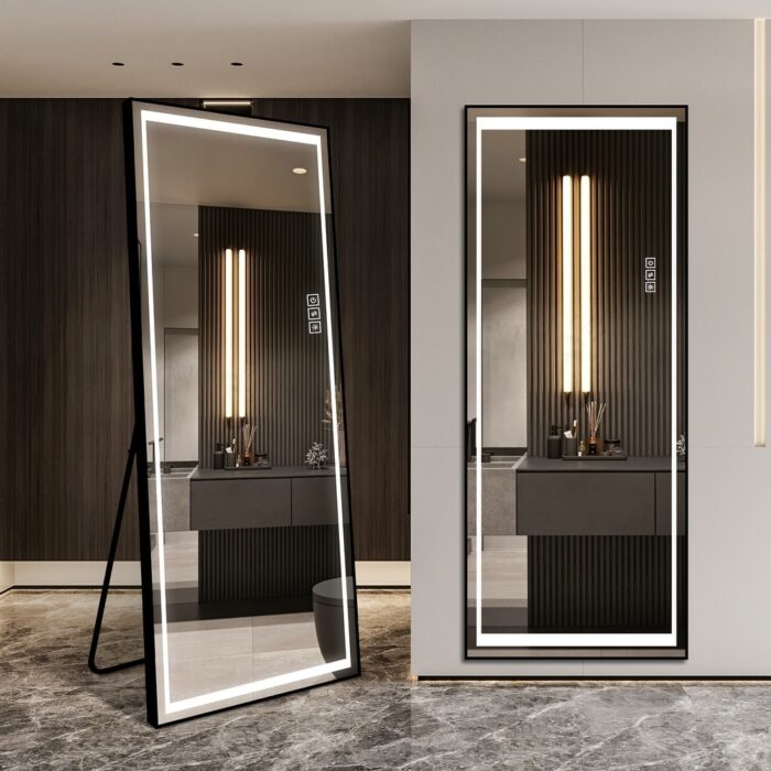 24 in. W x 65 in. H Rectangular Black Full Length Floor Mirror with LED Light Dimmable
