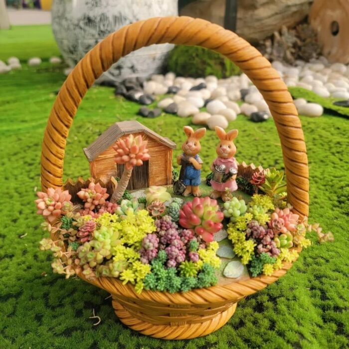 2''–3'' Multicolor Succulent Plants in Couple Rabbit Flower Basket - 7.5''×6''